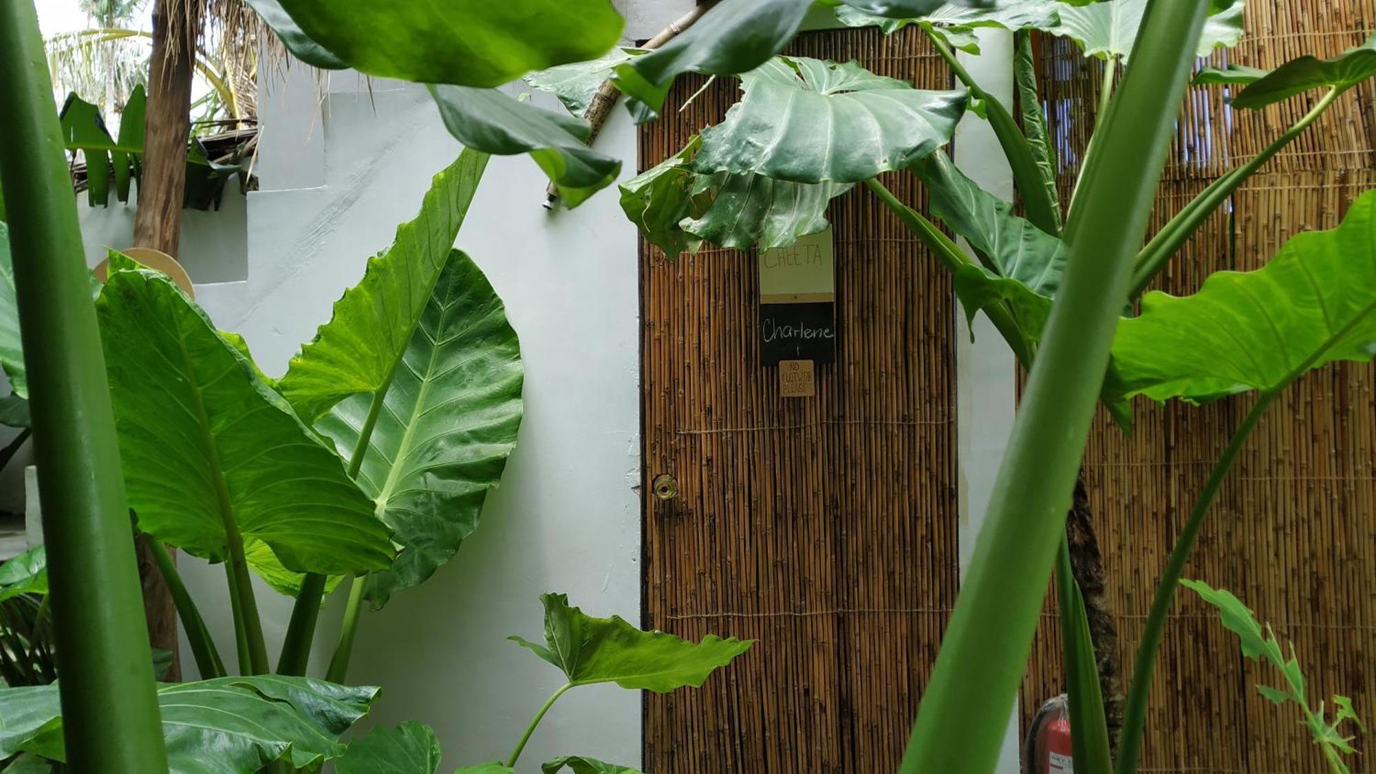 Hotel Tarzan'S House General Luna  Exterior foto